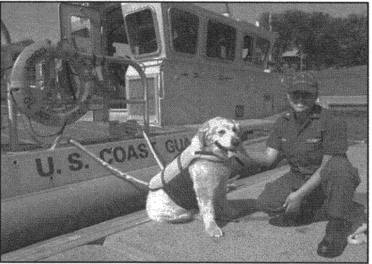 Ein Hund in Schwimmweste sitzt neben einem Menschen auf einem Steg vor einem U.S. Coast Guard Boot.